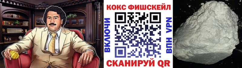 Кокаин FishScale  купить наркоту  Ясногорск 